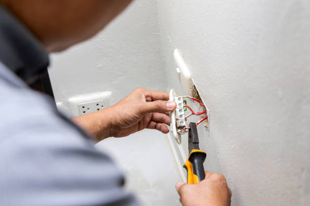 Best Ceiling Fan Installation Electrician  in Bohners Lake, WI